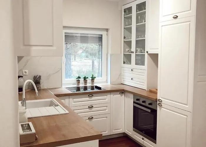 Snjeguljica Blidinje 200 M Od Staze Risovac