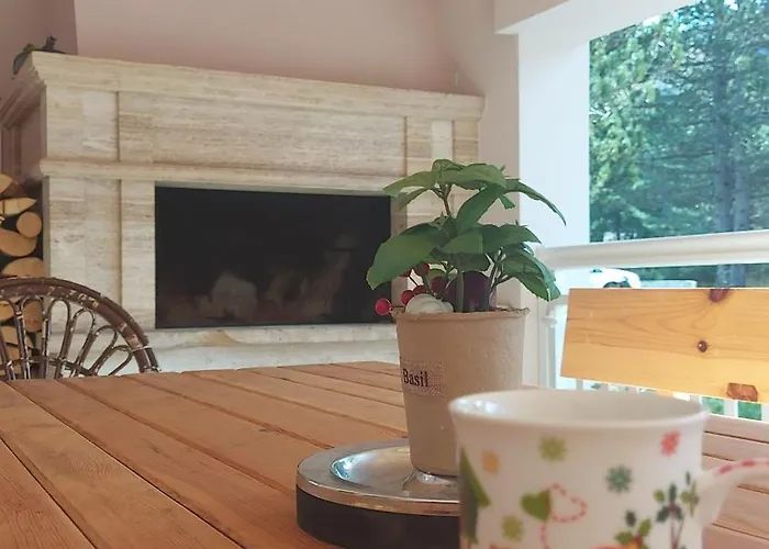 Snjeguljica Blidinje 200 M Od Staze